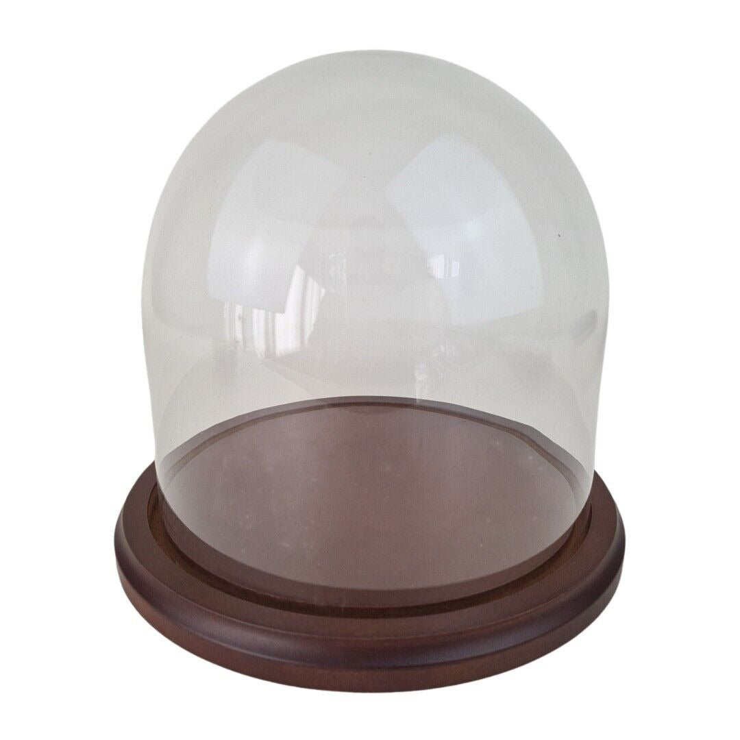 Glass Protector Cloche Dome Collectible Display Case with Wood Base Showcase