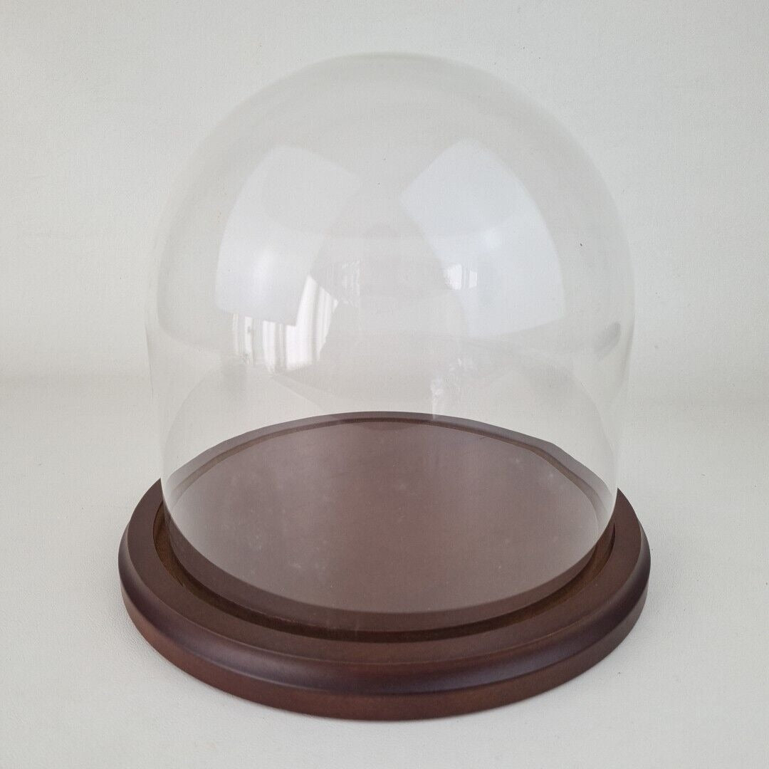 Glass Protector Cloche Dome Collectible Display Case with Wood Base Showcase