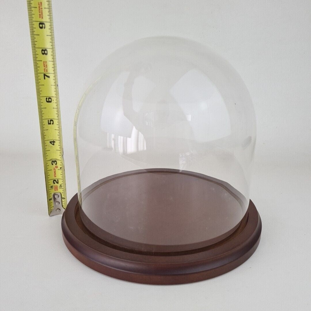 Glass Protector Cloche Dome Collectible Display Case with Wood Base Showcase