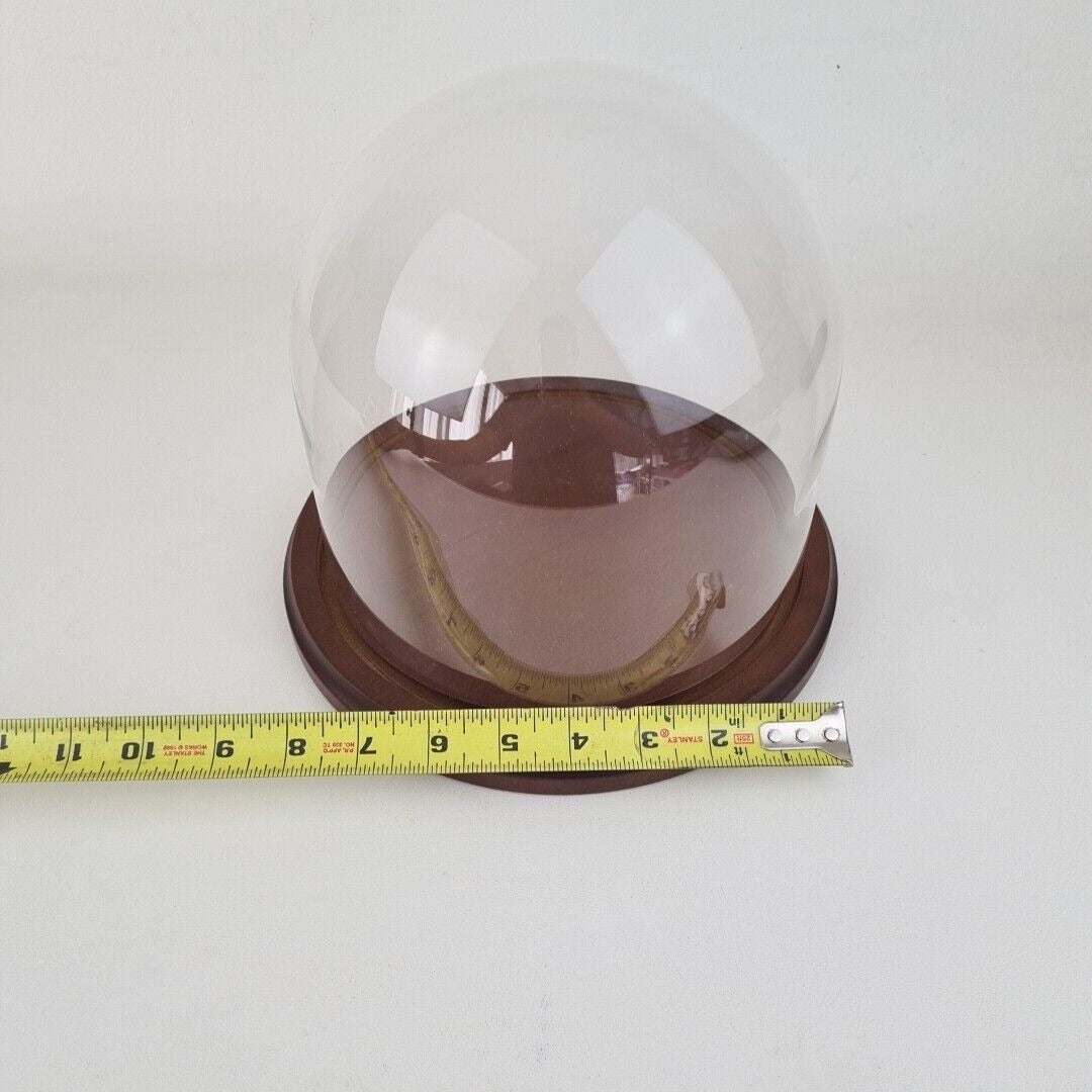 Glass Protector Cloche Dome Collectible Display Case with Wood Base Showcase